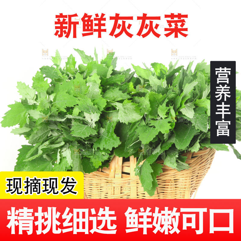 白底上的灰灰菜