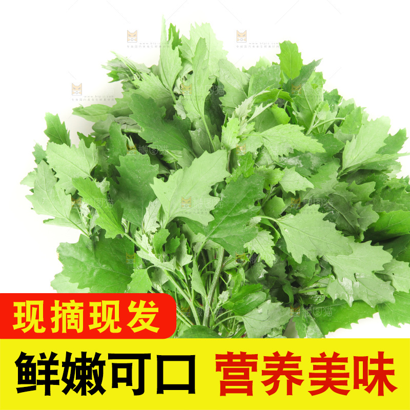 白底上的灰灰菜