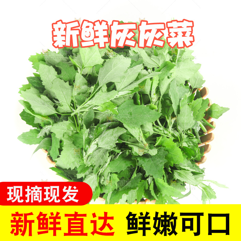 白底上的灰灰菜