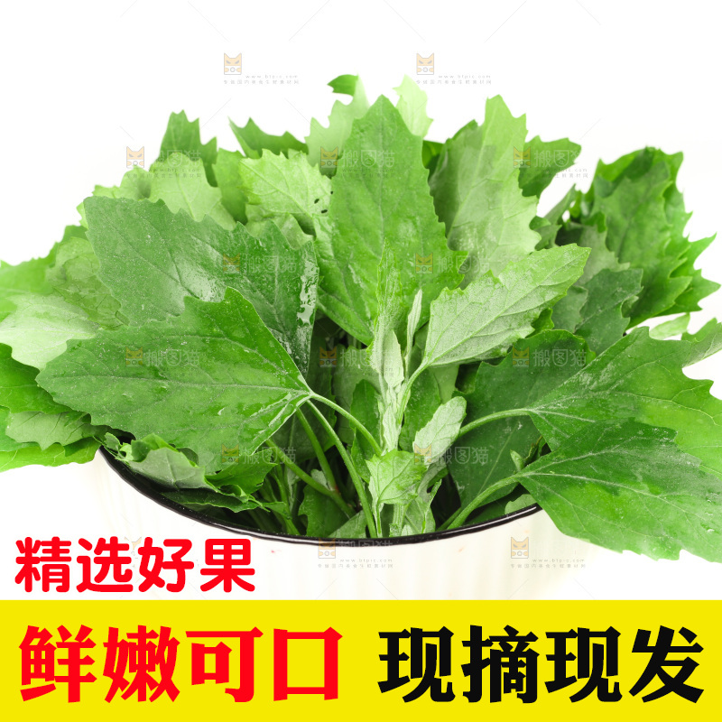 白底上的灰灰菜