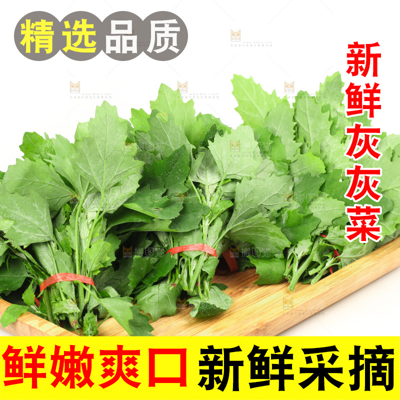 白底上的灰灰菜
