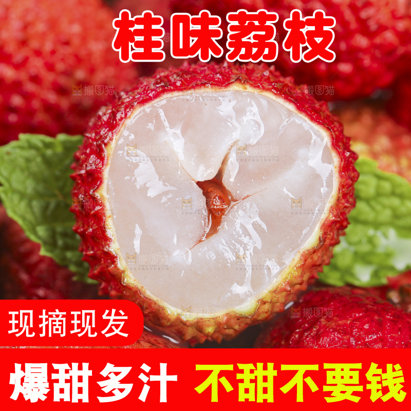 桂味荔枝主图