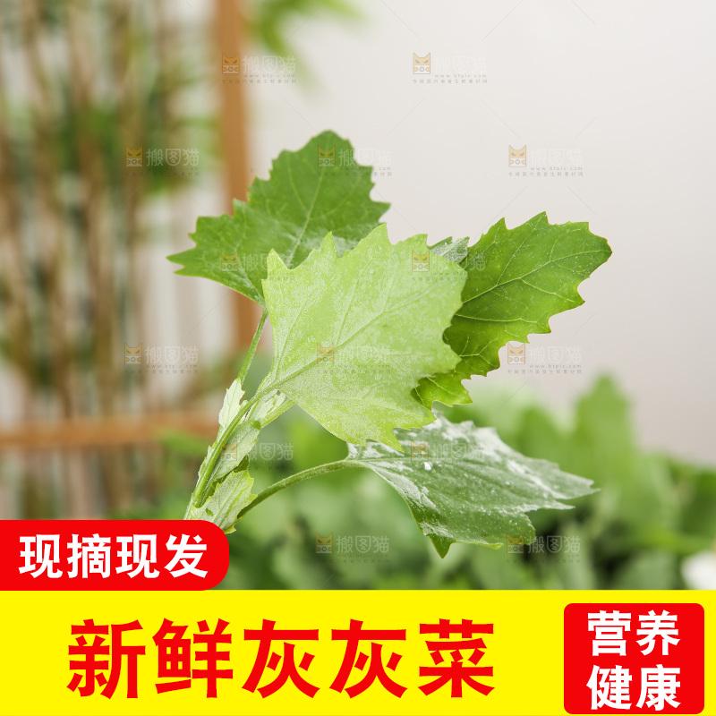 木底上的新鲜灰灰菜