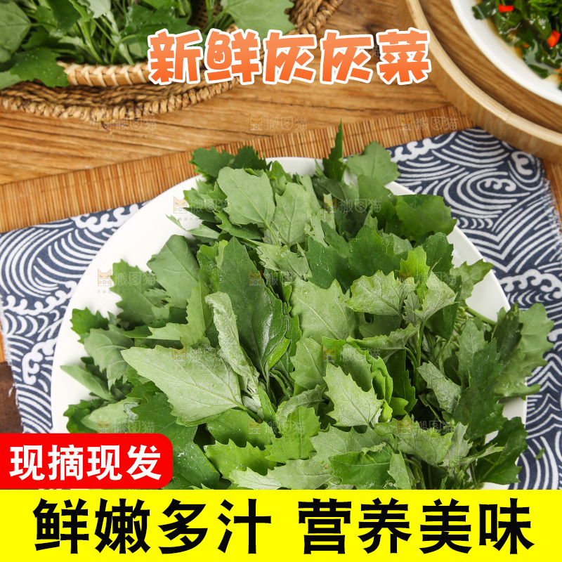 木底上的新鲜灰灰菜