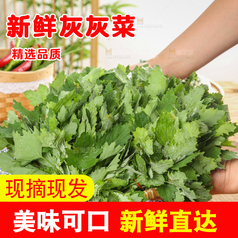 木底上的新鲜灰灰菜
