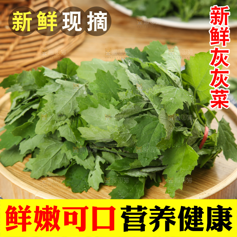 木底上的新鲜灰灰菜
