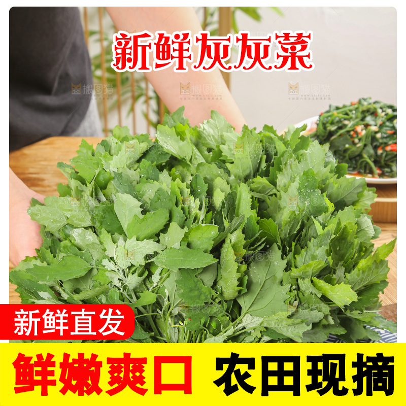 木底上的新鲜灰灰菜