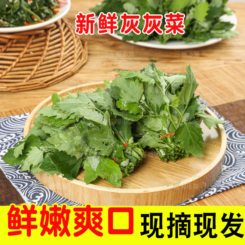 木底上的新鲜灰灰菜