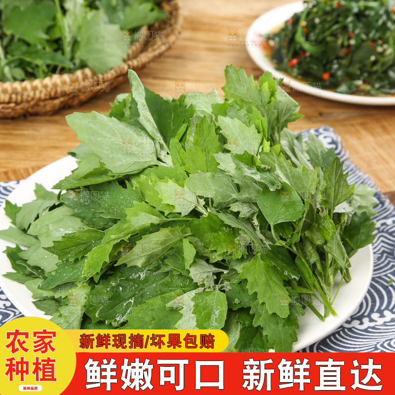 木底上的新鲜灰灰菜