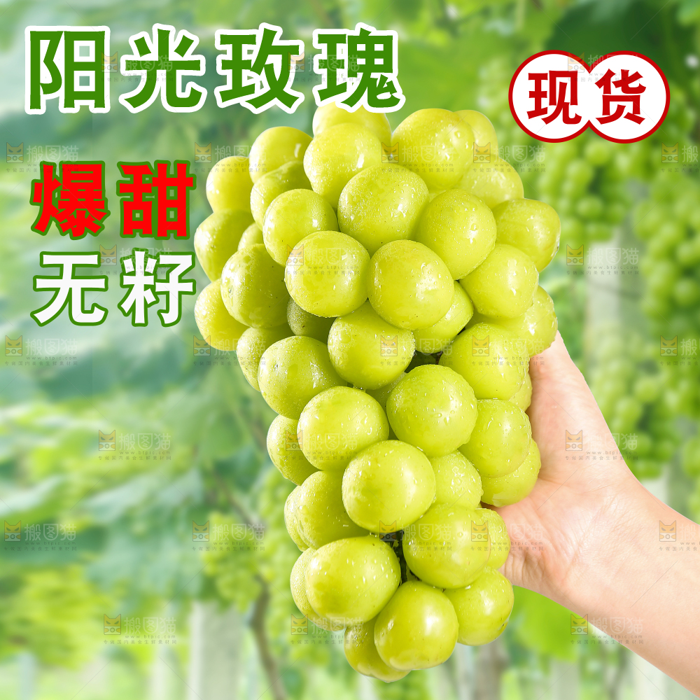 阳光玫瑰主图