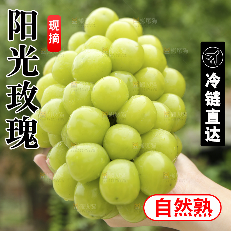 手里拿着阳光玫瑰