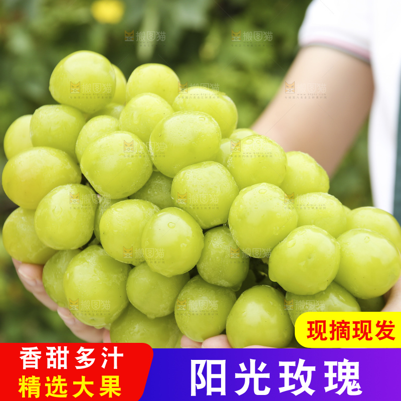 手里拿着阳光玫瑰