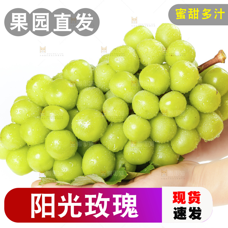 手里拿着阳光玫瑰