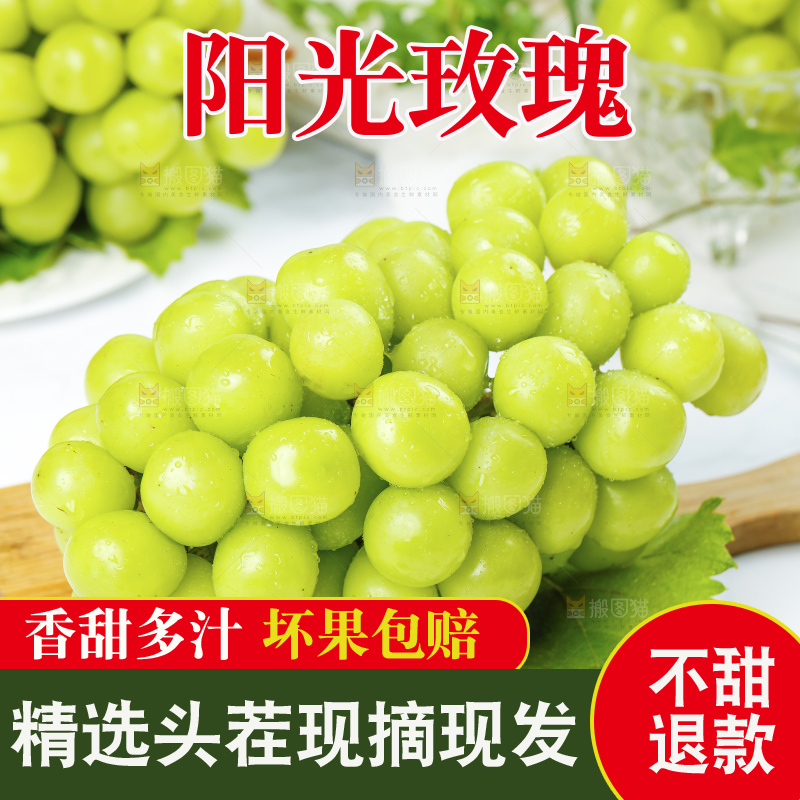 手里拿着阳光玫瑰