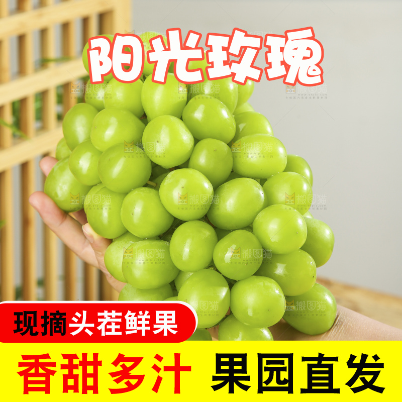 手里拿着阳光玫瑰