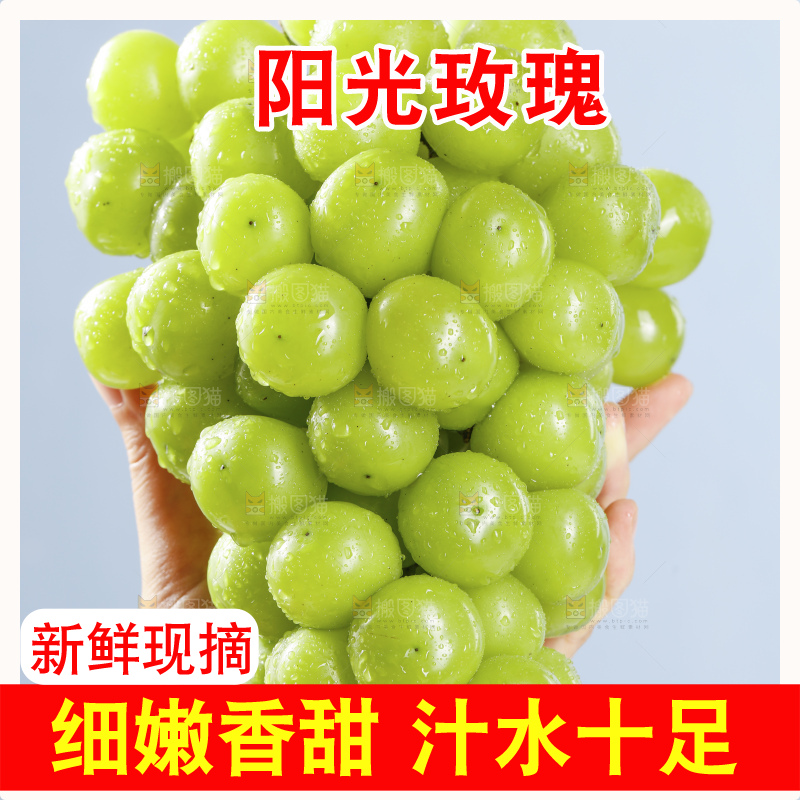 手里拿着阳光玫瑰
