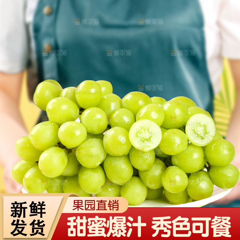 手里拿着阳光玫瑰