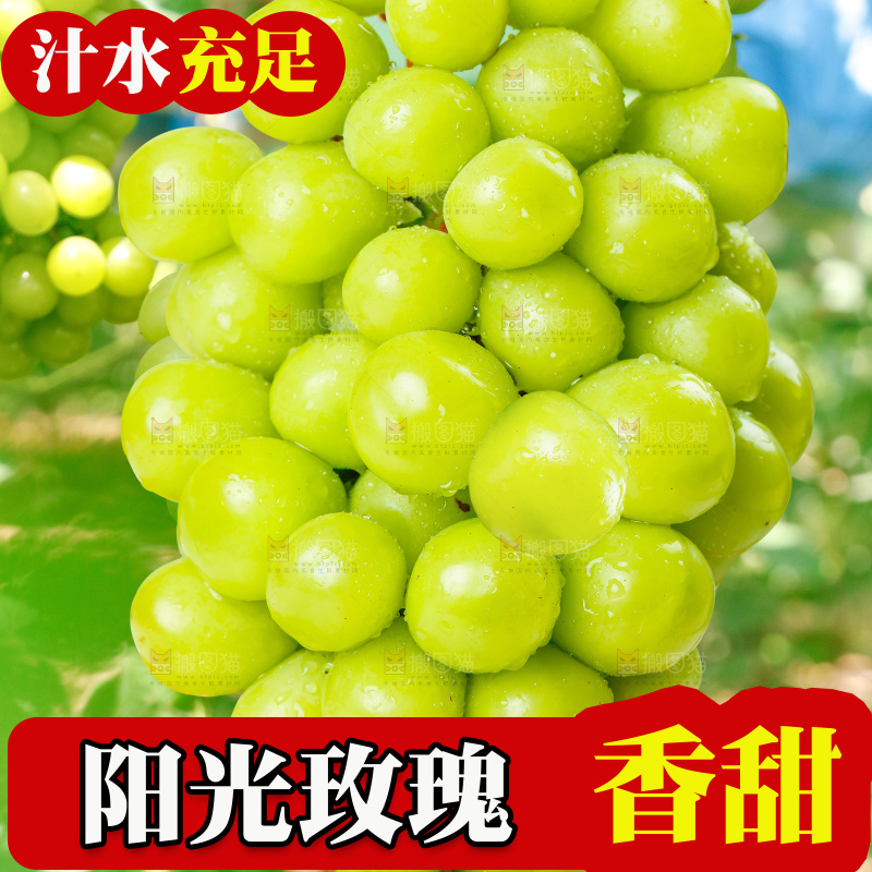 手里拿着阳光玫瑰