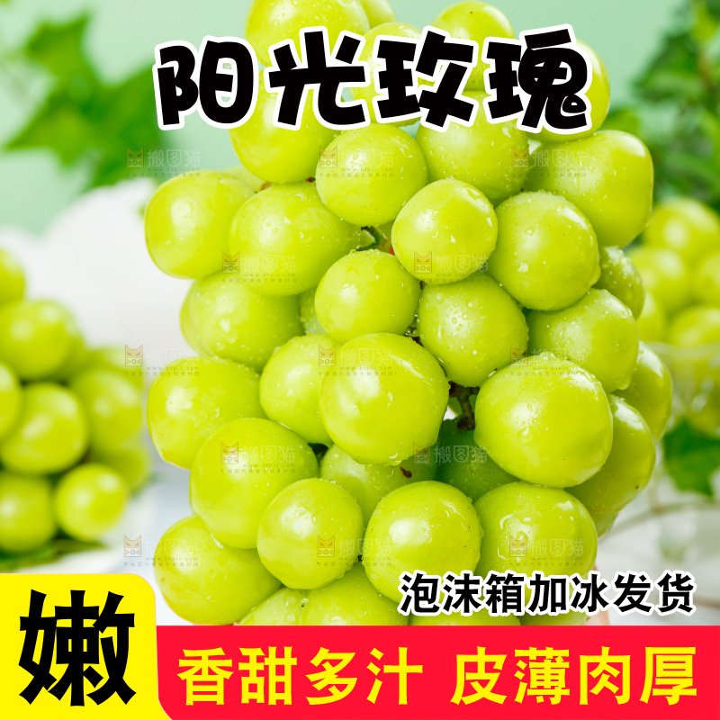 浅底上的阳光玫瑰青提