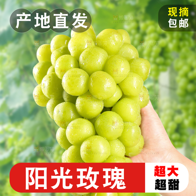 手里拿着阳光玫瑰