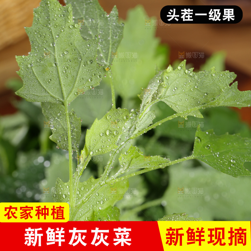 木底上的新鲜灰灰菜