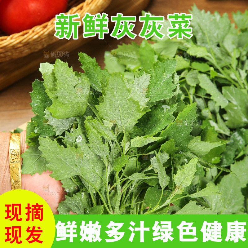 木底上的新鲜灰灰菜