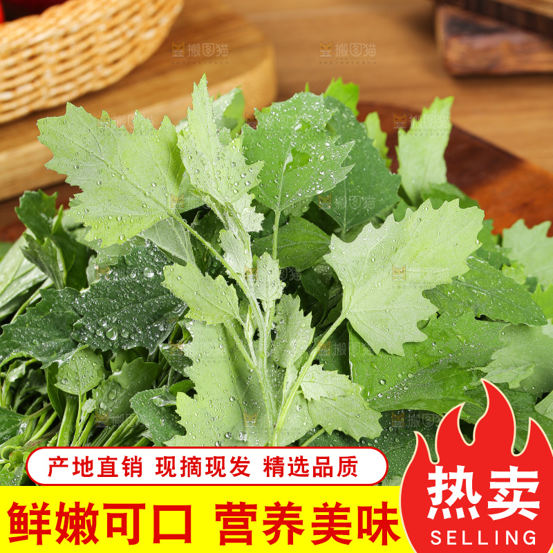 木底上的新鲜灰灰菜