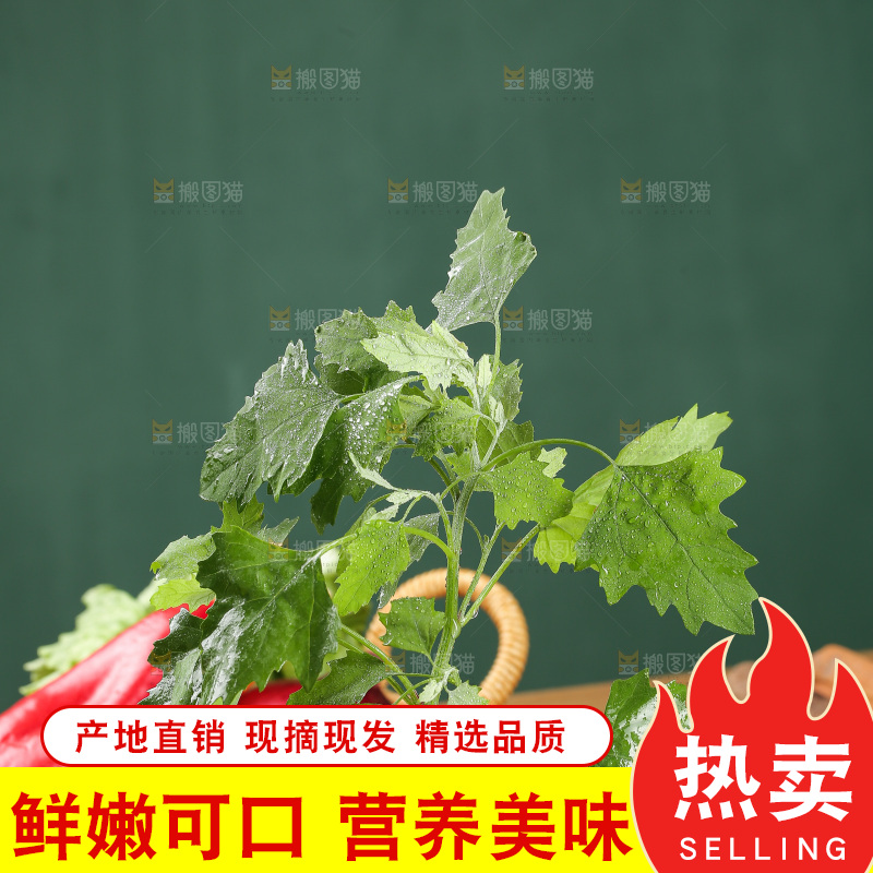 木底上的新鲜灰灰菜