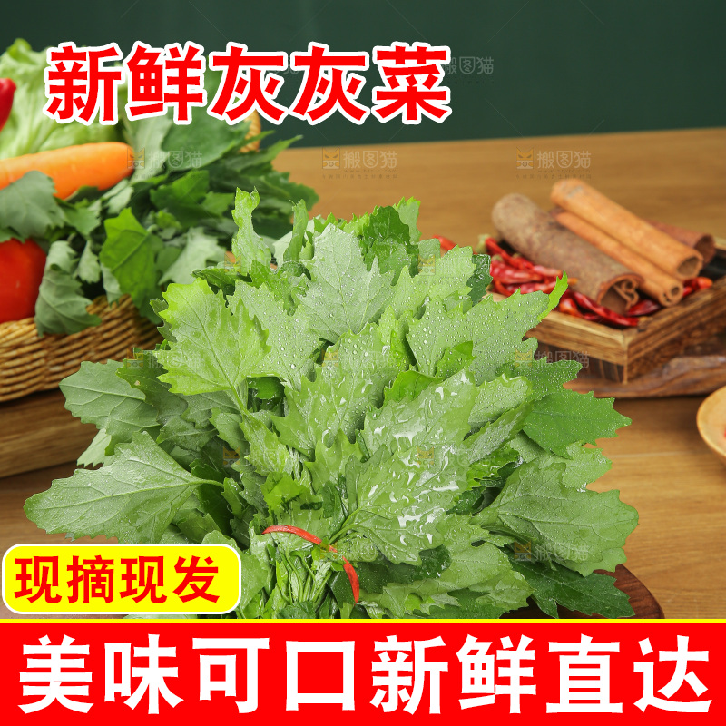 木底上的新鲜灰灰菜