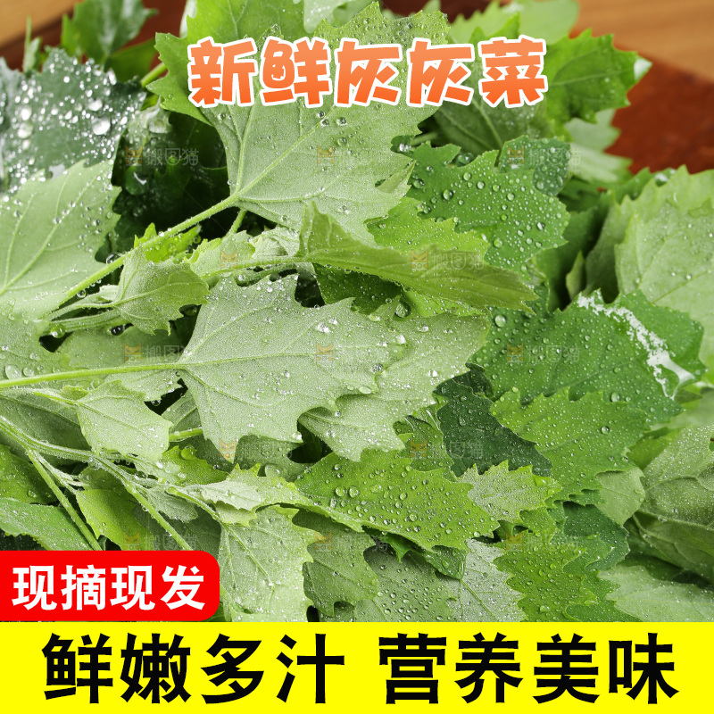 木底上的新鲜灰灰菜