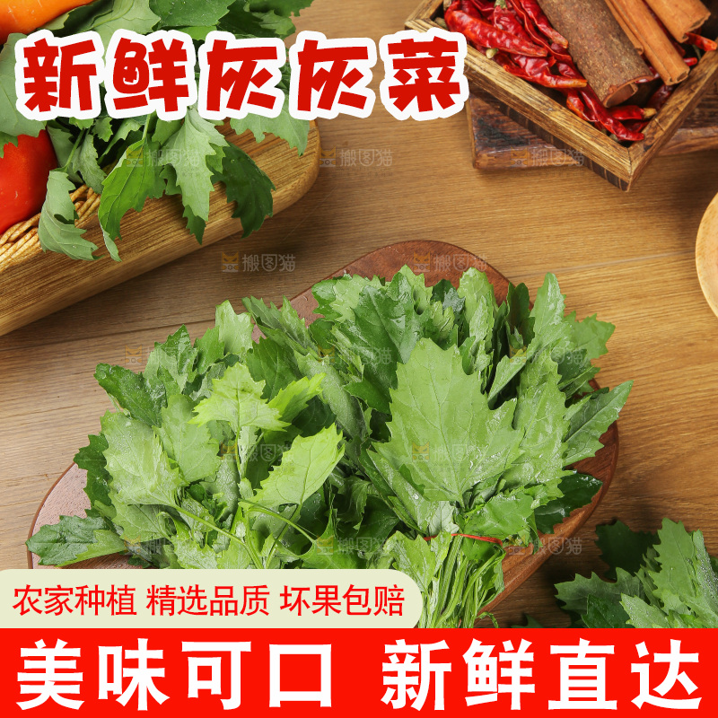 木底上的新鲜灰灰菜