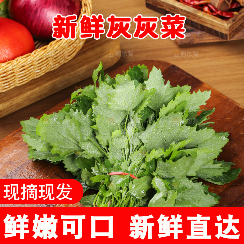 木底上的新鲜灰灰菜
