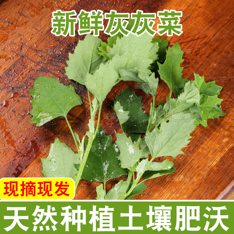 木底上的新鲜灰灰菜