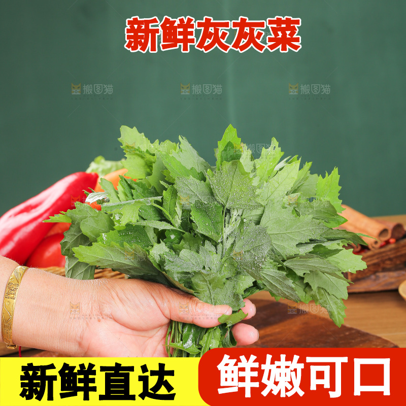 木底上的新鲜灰灰菜