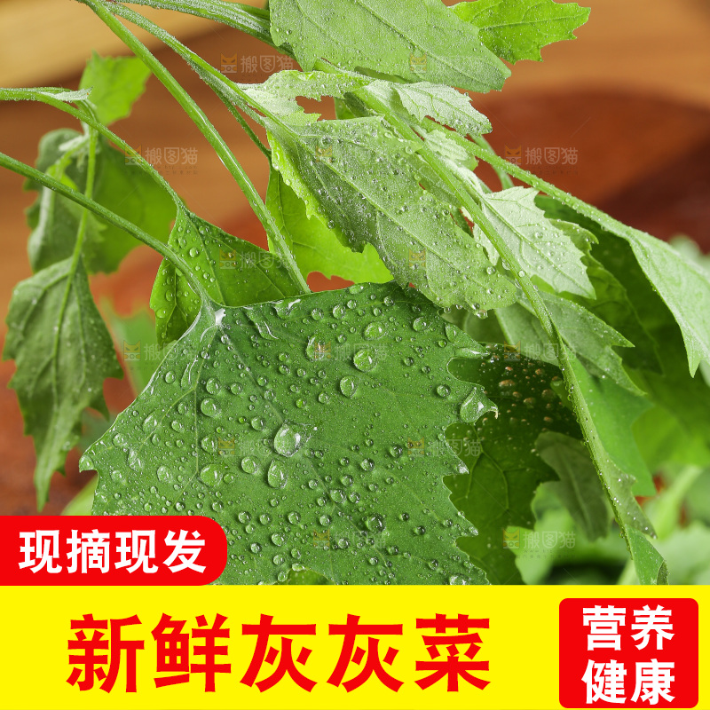 木底上的新鲜灰灰菜