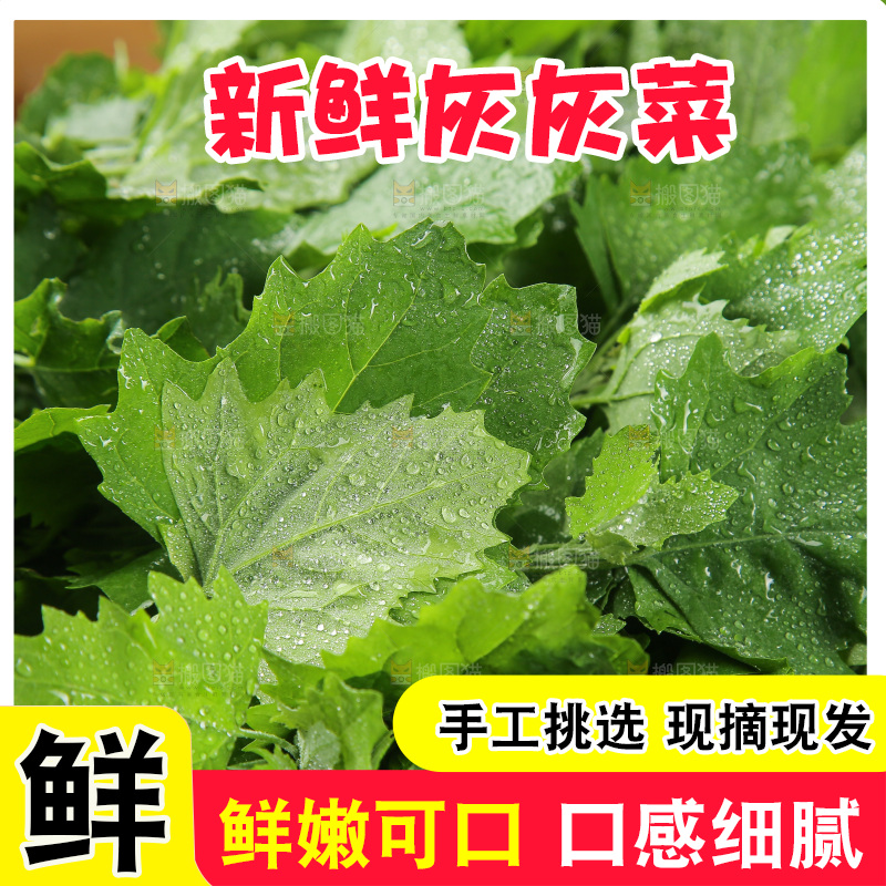 木底上的新鲜灰灰菜