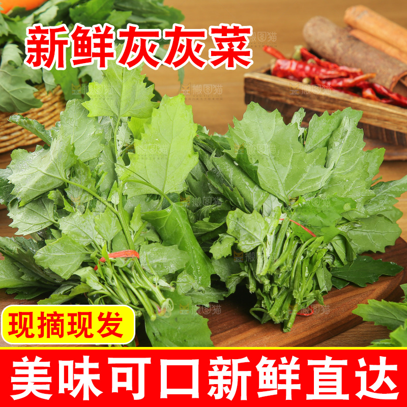 木底上的新鲜灰灰菜