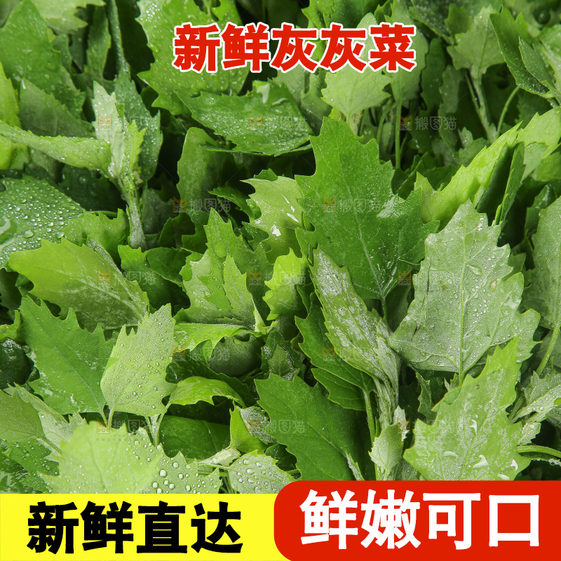 木底上的新鲜灰灰菜