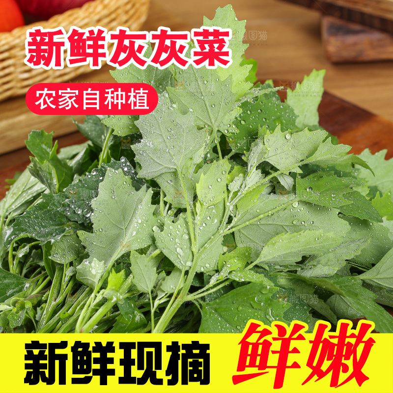 木底上的新鲜灰灰菜