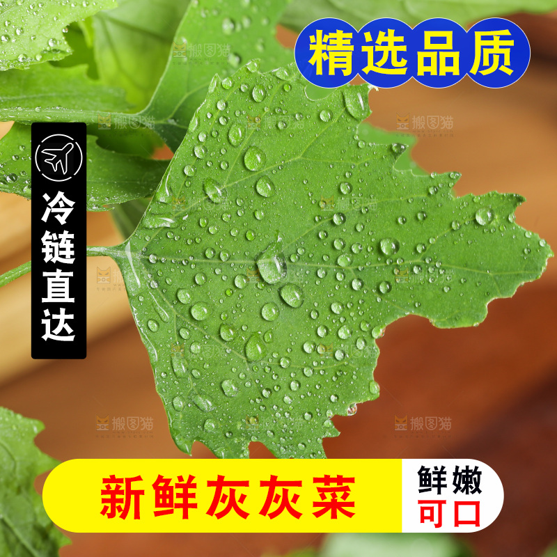 木底上的新鲜灰灰菜
