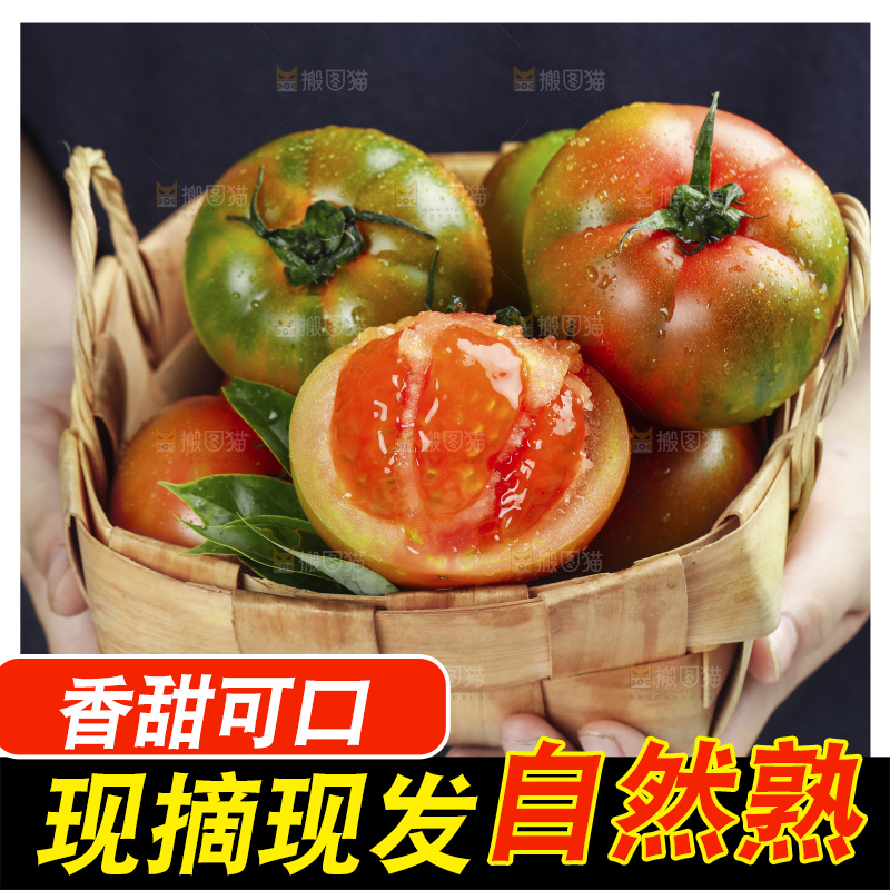 深底上的铁皮柿子