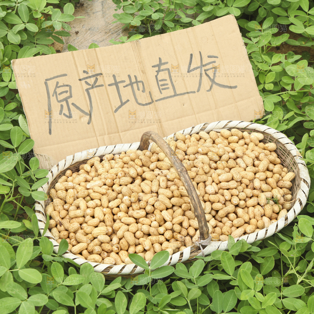 手里拿着现挖花生