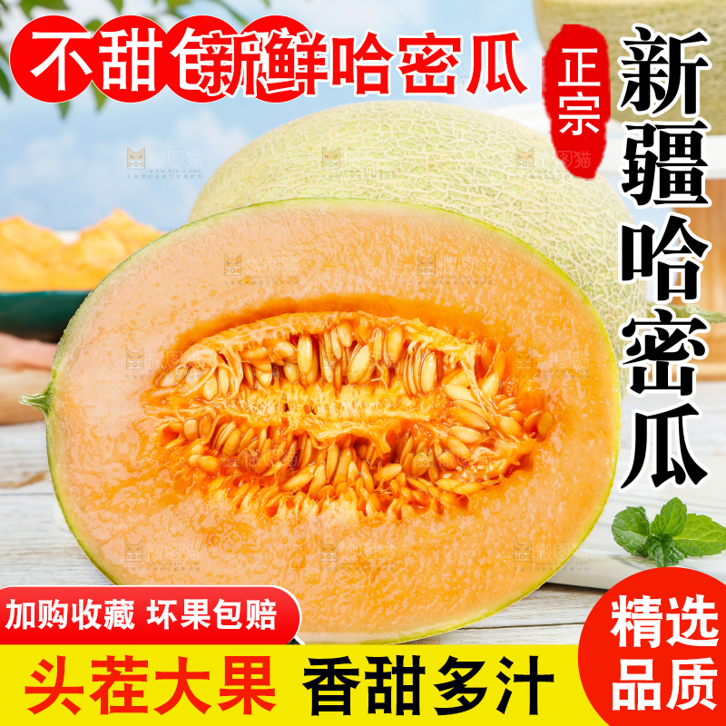 新疆哈密瓜主图