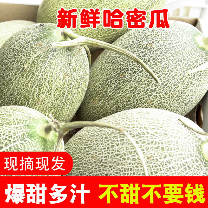 深底上的哈密瓜