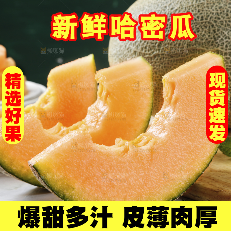 浅底上的新疆哈密瓜