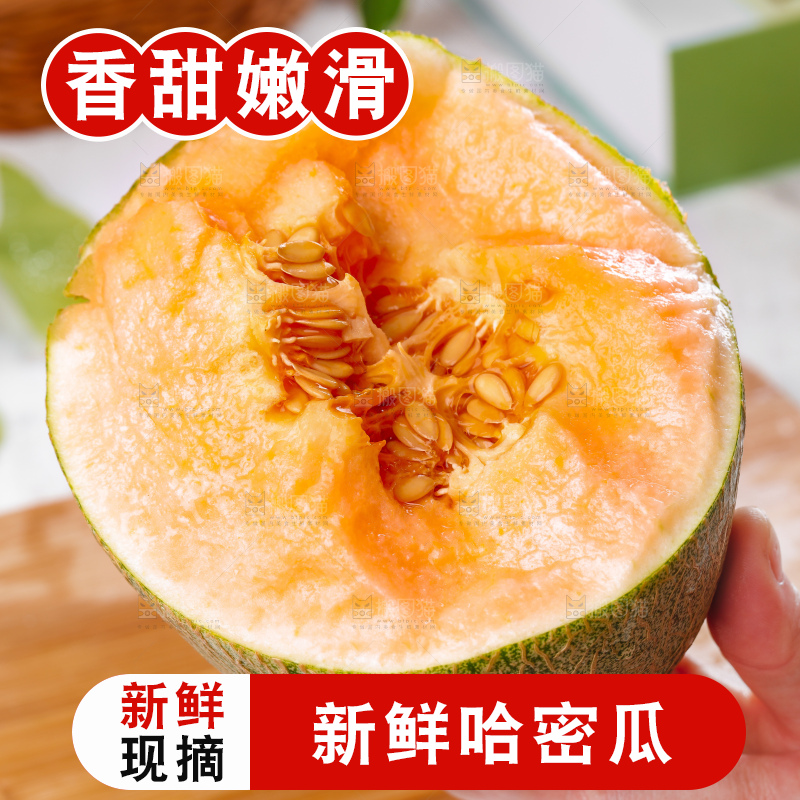 浅底上的新疆哈密瓜