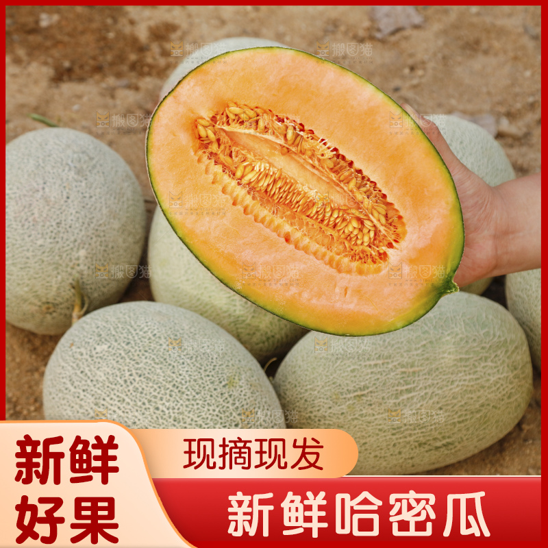 深底上的哈密瓜