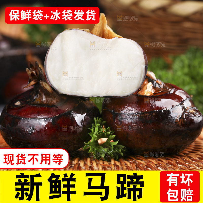 木底上的新鲜马蹄