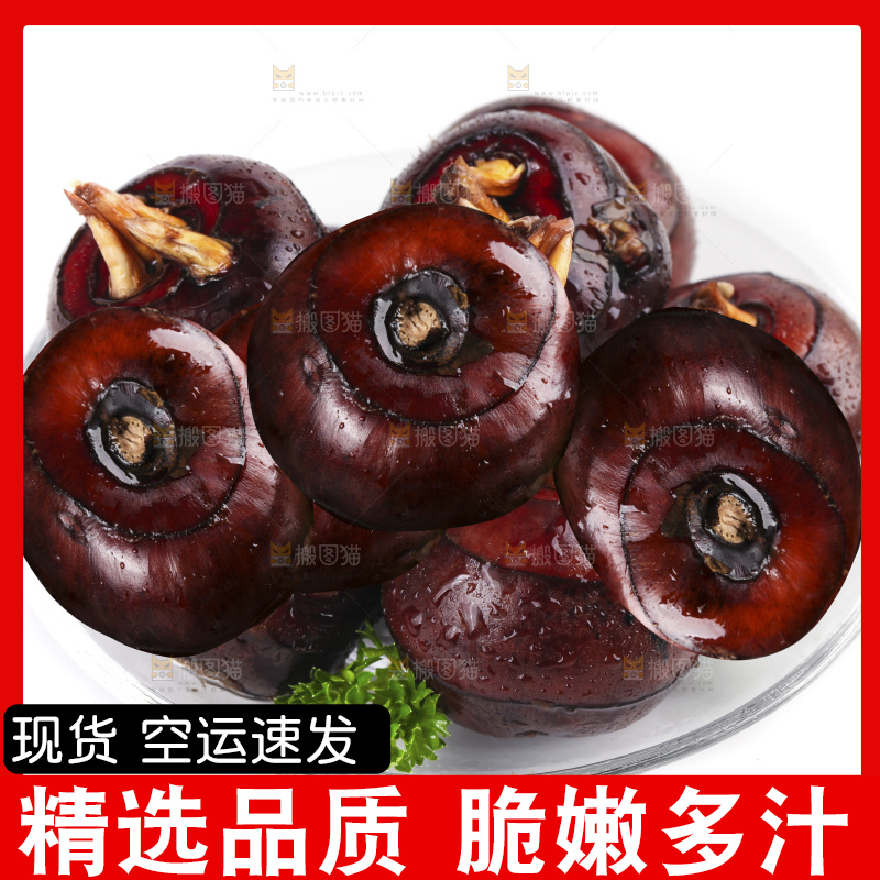 白底上的马蹄