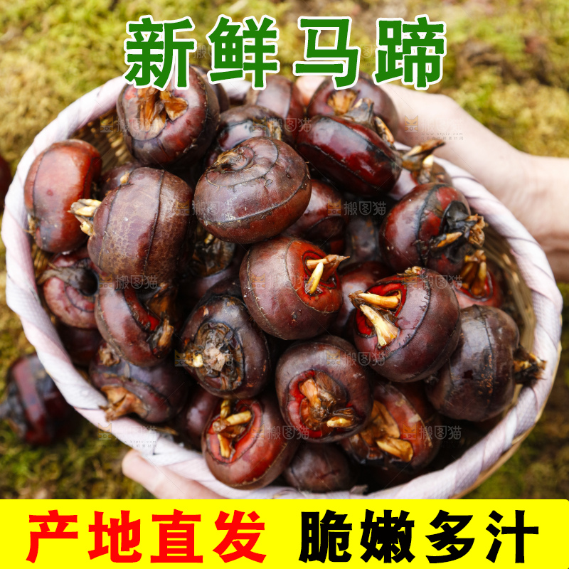 木底上的新鲜马蹄